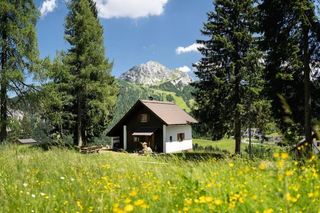 Gemuetliche Huette In Den Bergen Villa Sonnenalpe Nassfeld Exterior photo